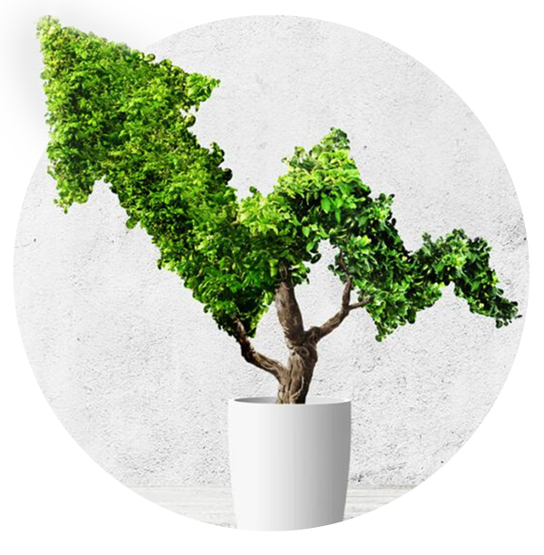 Sustainable Finance